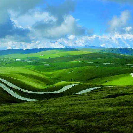 Bed & Breakfast Ongar Relax