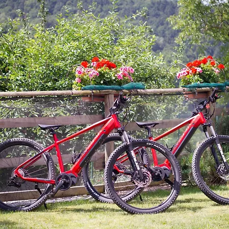 Ongar Relax ボスコ・キエザヌオーヴァ