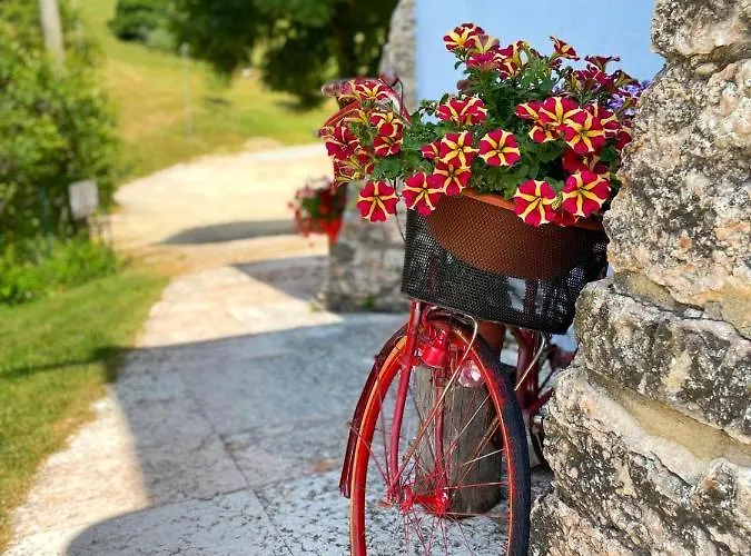 Ongar Relax 住宿加早餐酒店 博斯科基耶萨诺瓦