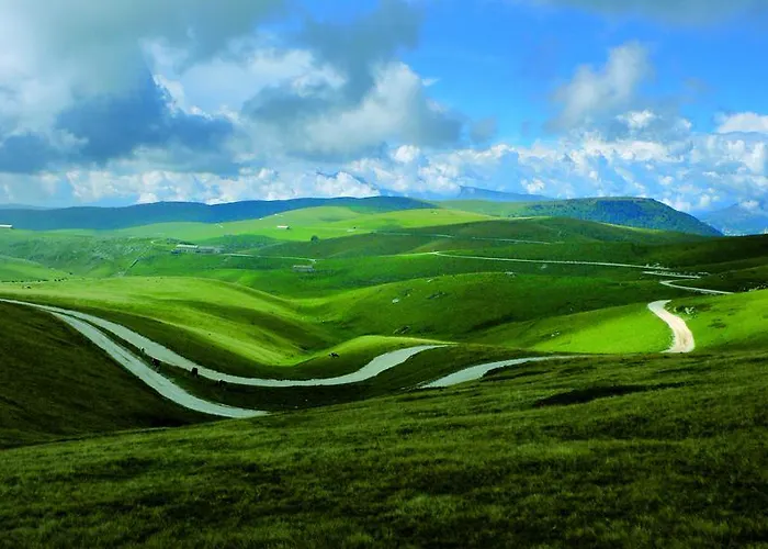 住宿加早餐酒店 Ongar Relax