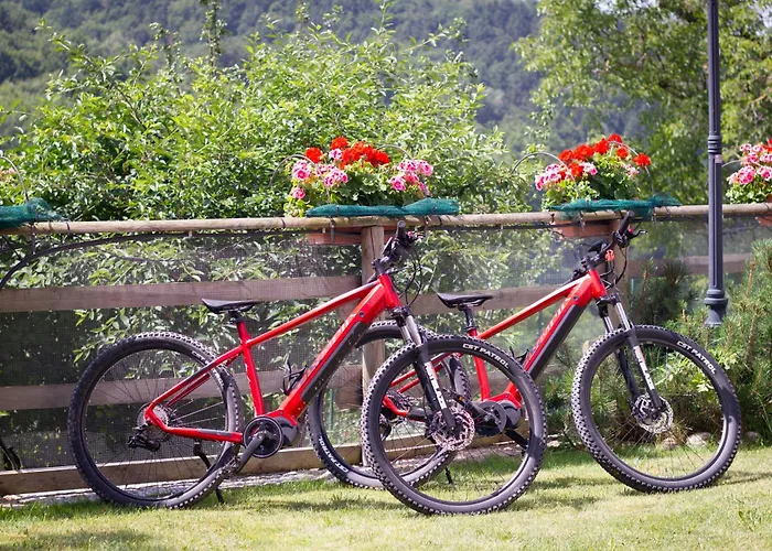 Ongar Relax 博斯科基耶萨诺瓦